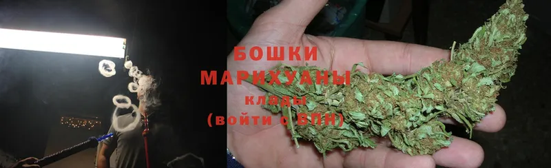 Каннабис White Widow  сколько стоит  Куса 